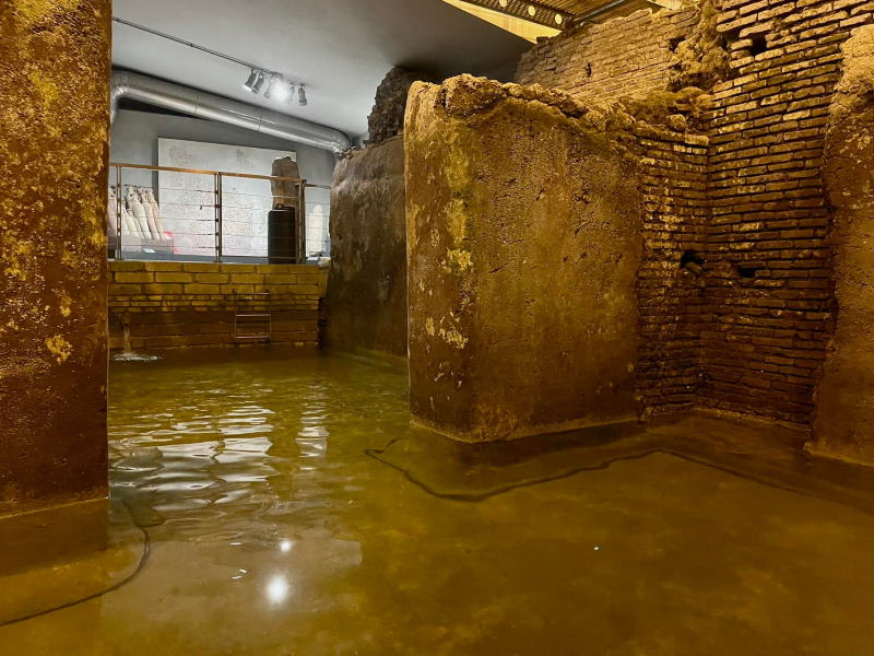 Foto profilo Facebook Area Archeologica del Vicus Caprarius - la Città dell'Acqua