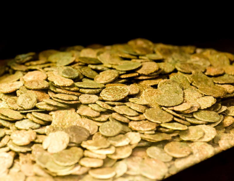 Foto profilo Facebook Area Archeologica del Vicus Caprarius - la Città dell'Acqua