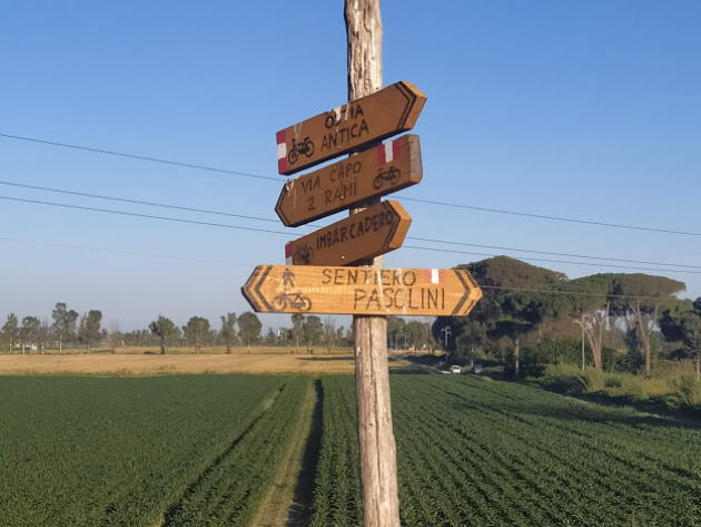 Ostia antica: archeologia, outdoor e meraviglia alla Porta di Roma Ostia antica: archeologia, outdoor e meraviglia alla Porta di Roma