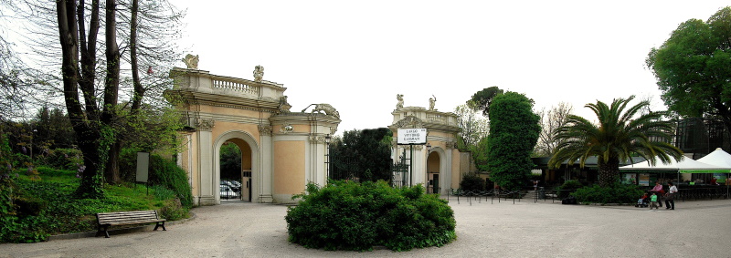 Bioparco@Massimiliano Di Giovanni – Archivio Bioparco