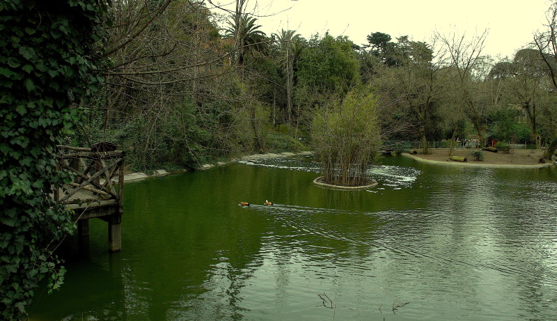 Bioparco@Massimiliano Di Giovanni – Archivio Bioparco