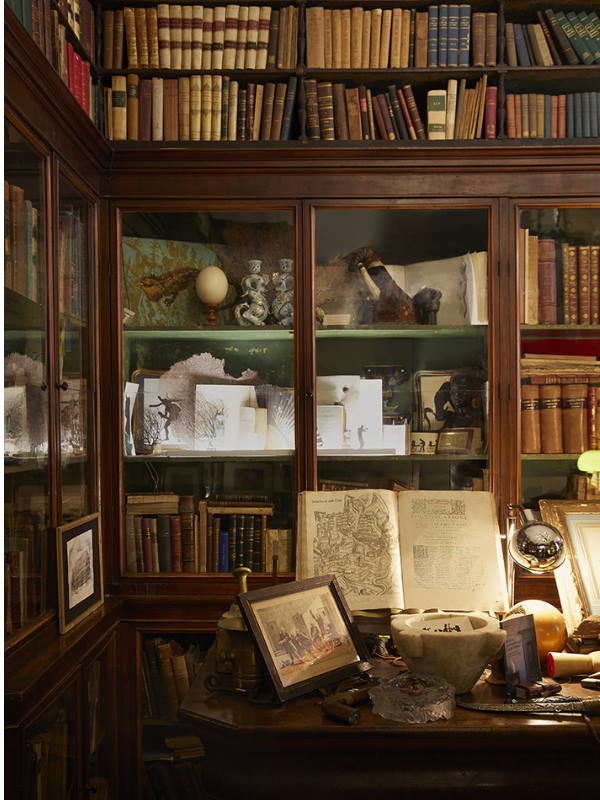 Interno - Antica Libreria Cascianelli