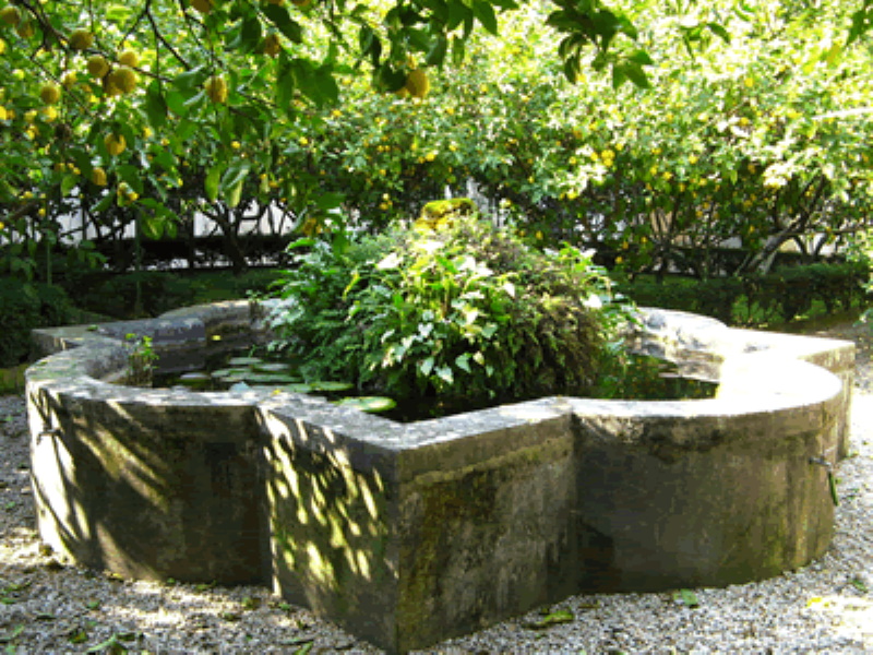 Monastero delle Oblate di Santa Francesca Romana a Tor de' Specchi - Fontana