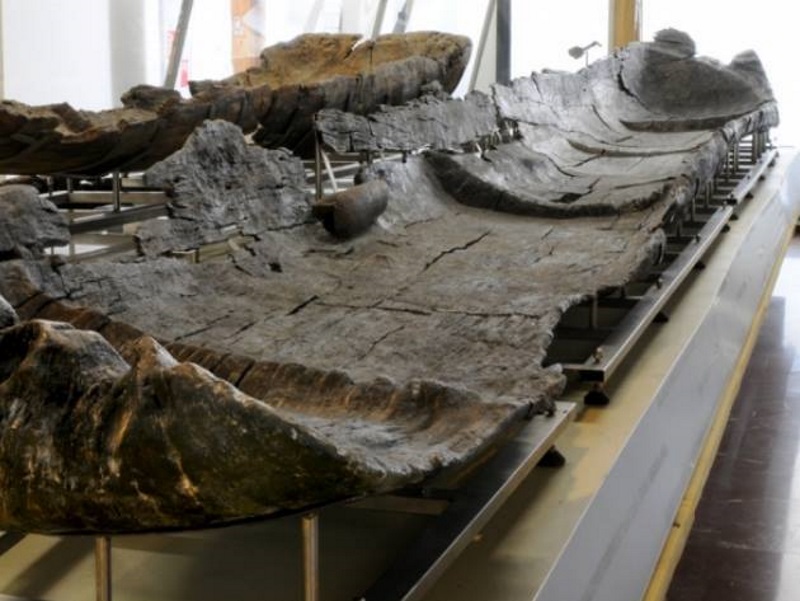 Museo delle Civiltà - Museo preistorico etnografico Luigi Pigorini Museo delle Civiltà - Museo preistorico etnografico Luigi Pigorini