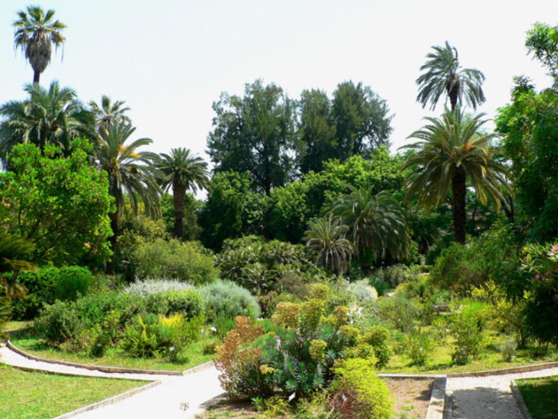 Orto Botanico di Roma - Giardino Mediterraneo