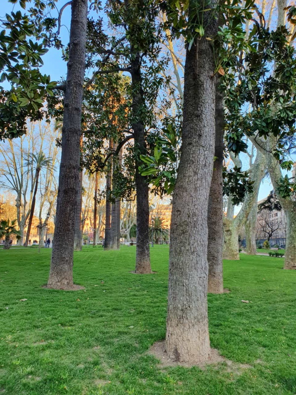 Piazza Vittorio Emanuele II