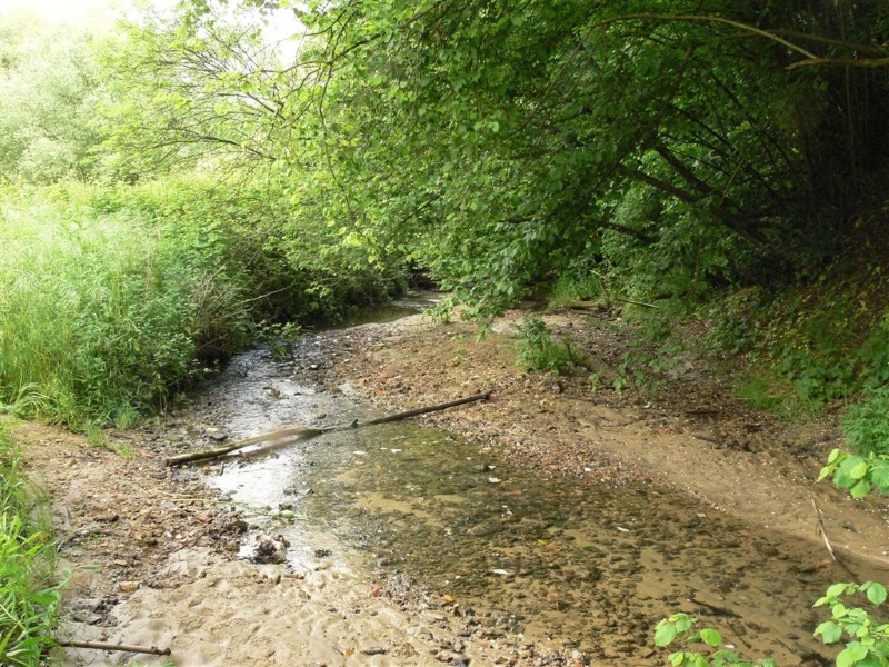 Riserva Naturale dell'Insugherata Riserva Naturale dell'Insugherata