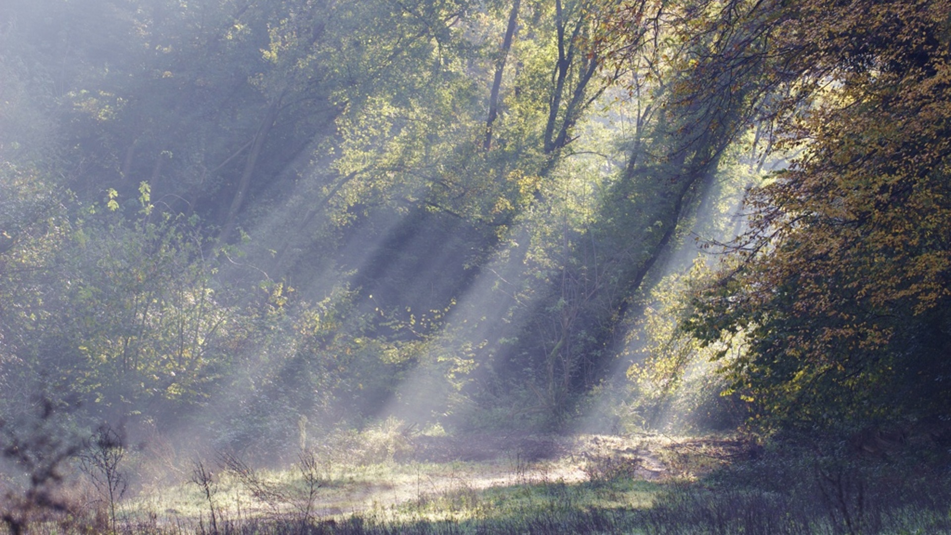 Riserva Naturale dell'Insugherata Riserva Naturale dell'Insugherata