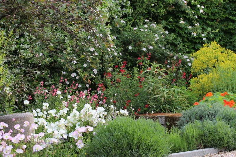 Basilica di San Paolo fuori le Mura - Giardino monastico Basilica di San Paolo fuori le Mura - Giardino monastico