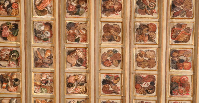 Salotto Cinese - Foto fondazionemarcobesso.net Salotto Cinese - Foto fondazionemarcobesso.net