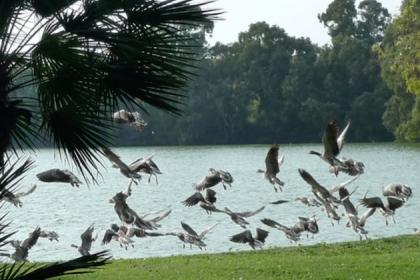 Oasi di Porto (Fiumicino) Foto sito ufficiale Oasi di Porto (Fiumicino) Foto sito ufficiale