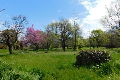 Villa dei Gordiani Villa dei Gordiani