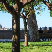 Parco Savello o Giardino degli Aranci