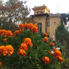 Ariccia, Villino Volterra Ariccia, Villino Volterra