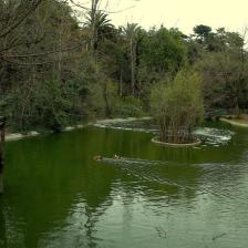 Bioparco@Massimiliano Di Giovanni – Archivio Bioparco