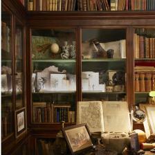 Interno - Antica Libreria Cascianelli