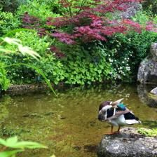 Laghetto Orto Botanico Laghetto Orto Botanico