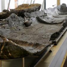 Museo delle Civiltà - Museo preistorico etnografico Luigi Pigorini Museo delle Civiltà - Museo preistorico etnografico Luigi Pigorini