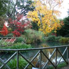 Orto Botanico di Roma - Laghetto