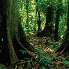 Riserva Naturale dell'Insugherata Riserva Naturale dell'Insugherata