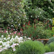 Basilica di San Paolo fuori le Mura - Giardino monastico Basilica di San Paolo fuori le Mura - Giardino monastico