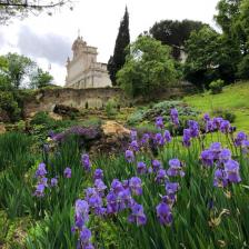 Vista Gianicolo da Orto Botanico Vista Gianicolo da Orto Botanico