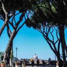 Giardino degli Aranci - foto Sovrintendenza Capitolina Giardino degli Aranci - Foto Sovrintendenza Capitolina
