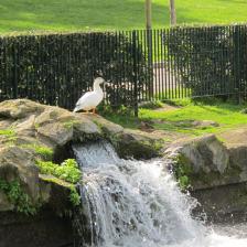 Parco Centrale del Lago Parco Centrale del Lago