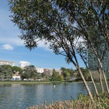 Parco Centrale del Lago Parco Centrale del Lago