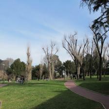 Parco Centrale del Lago Parco Centrale del Lago