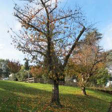 Parco Centrale del Lago Parco Centrale del Lago