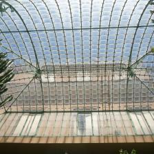 Orto botanico - Foto Turismoroma L. Dal Pont