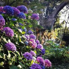 Palazzo Chigi di Ariccia, foto @PalazzoChigiAriccia Palazzo Chigi di Ariccia, foto @PalazzoChigiAriccia