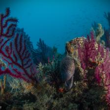 Secche di Tor Paterno