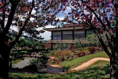 Istituto Giapponese di Cultura-Foto sito ufficiale Beni Culturali on line 