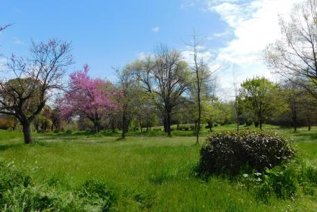 Villa dei Gordiani Villa dei Gordiani