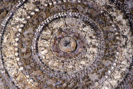 Foto sovraintendenzaroma.it