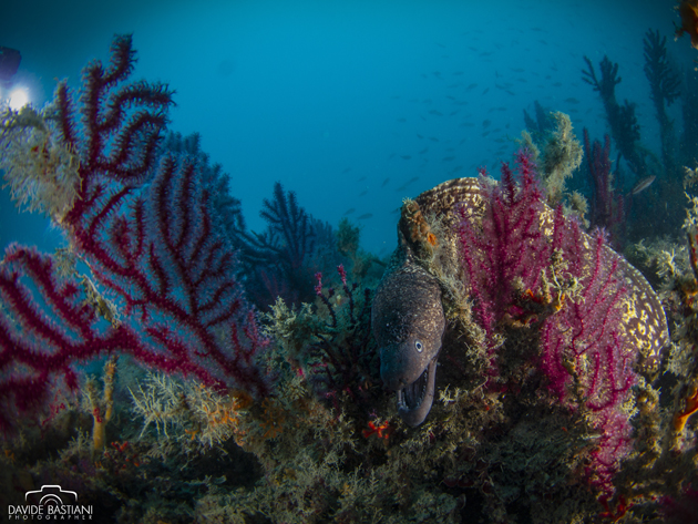 Secche di Tor Paterno