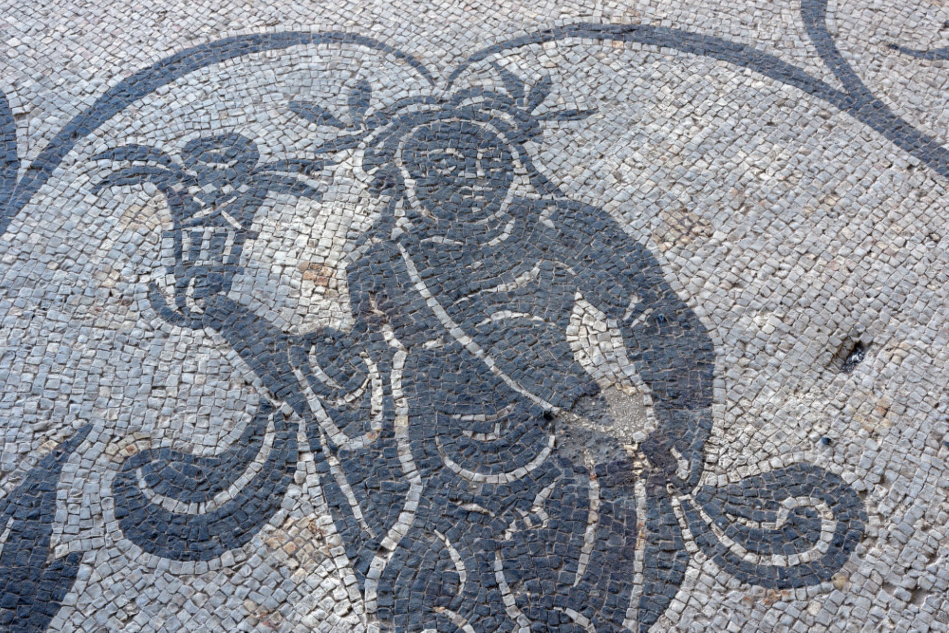 Foto account Facebook Soprintendenza Speciale Roma Foto account Facebook Soprintendenza Speciale Roma