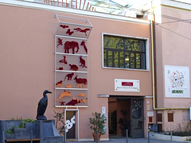 Museo Civico di Zoologia